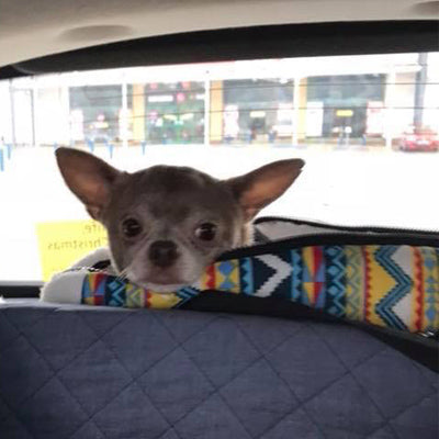 Pet Carrier Padded Faux Sheepskin Lined Travel Shoulder Bag Aztec Design Dog Bag - My Chi and Me