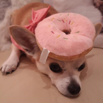 Pink Strawberry Donut Chihuahua or Small Dog Plush Star Toy with Squeaker Chihuahua Clothes and Accessories at My Chi and Me