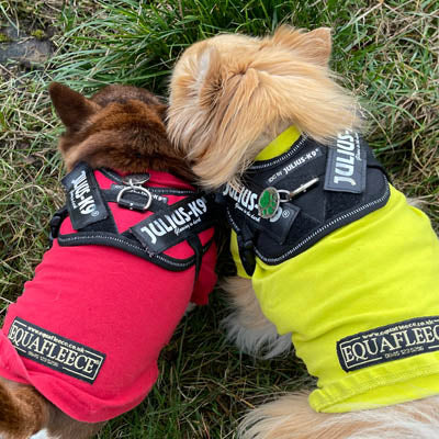 Equafleece® 14 T-Shirt Body HOTTERdog ChihuahuaSmall Dog Tankie Vest Size Small