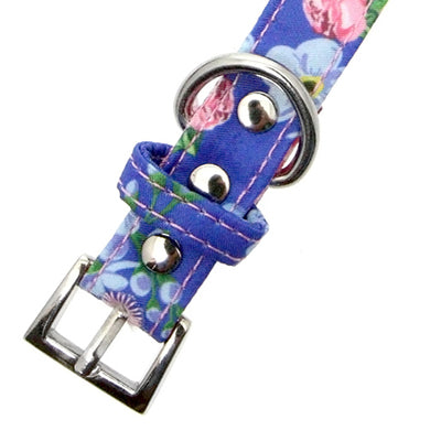 Pink and Blue Floral Burst Collar by Urban Pup Chihuahua Clothes and Accessories at My Chi and Me
