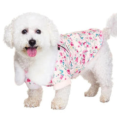 Urban Pup Chihuahua Puppy Chihuahua or Small Dog Floral Cascade Coat Chihuahua Clothes and Accessories at My Chi and Me