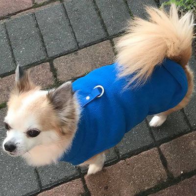 Chihuahua or Small Dog Fleece Jumper with D Rings For Leash Blue - My Chi and Me