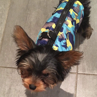 Premium Marine Camouflage Water Resistant Padded Gilet Style Dog Coat Chihuahua Clothes and Accessories at My Chi and Me