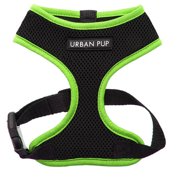 Active Mesh Black and Green Harness by Urban Pup Chihuahua Clothes and Accessories at My Chi and Me