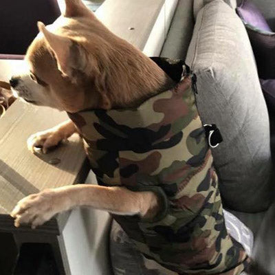 Chihuahua or Small Dog Coat Green Camouflage Gilet - My Chi and Me