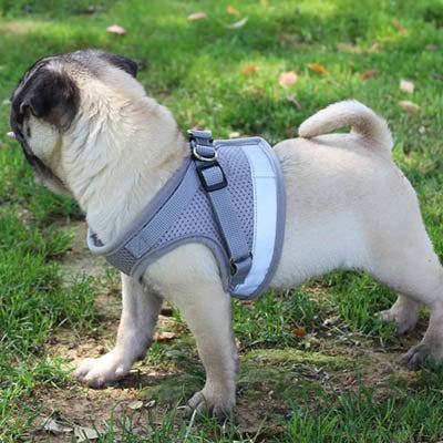 Small Dog Vest Harness and Lead Set Grey Mesh Reflective