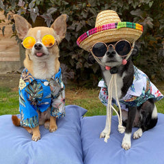 Blue Palms Hibiscus Print Hawaiian Shirt for Small Dogs