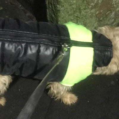 Gilet Style Small Dog Coat Black And Yellow - My Chi and Me