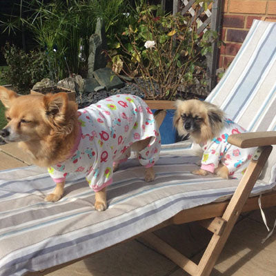 Chihuahua Small Dog Pyjamas Onesie Style Owls Horses Elephants Print Cotton Pink - My Chi and Me