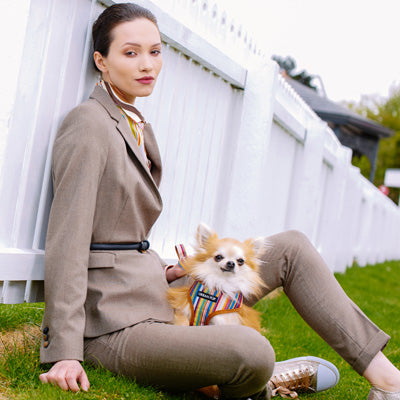 Henley Striped Tan Harness by Urban Pup - My Chi and Me