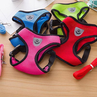 Soft Mesh Chihuahua or Small Dog Harness and Lead Set Atlantic Blue 3 Sizes