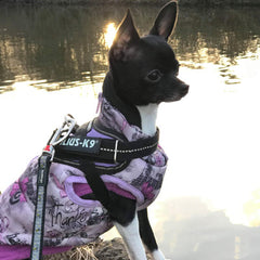 Julius K9 IDC Powerharness for Puppies and Chihuahuas Purple - My Chi and Me