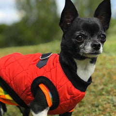 Water Resistant Padded Quilted Red Dog Gilet Chihuahua Clothes and Accessories at My Chi and Me