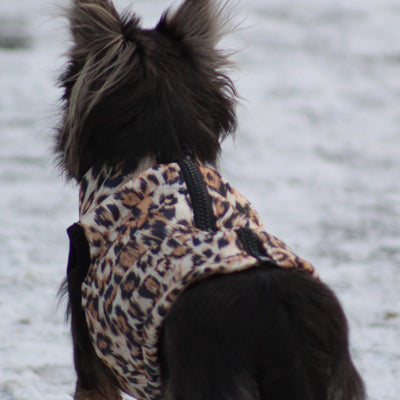 Premium Leopard Print Water Resistant Padded Gilet Style Coat Chihuahua or Small Dog - My Chi and Me
