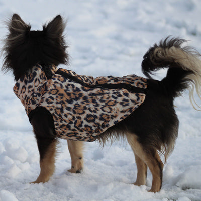 Premium Leopard Print Water Resistant Padded Gilet Style Coat Chihuahua or Small Dog - My Chi and Me