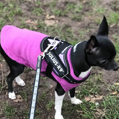 Chihuahua or Small Dog Fleece Jumper with D Rings For Leash Lilac - My Chi and Me