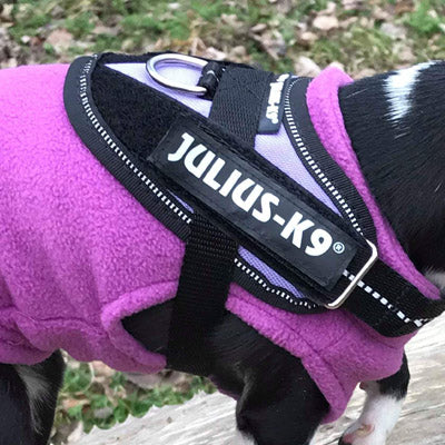 Chihuahua or Small Dog Fleece Jumper with D Rings For Leash Lilac - My Chi and Me