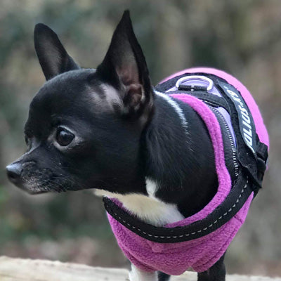 Chihuahua or Small Dog Fleece Jumper with D Rings For Leash Lilac - My Chi and Me