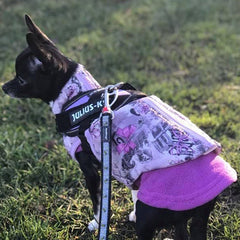 Julius K9 IDC Powerharness for Puppies and Chihuahuas Purple - My Chi and Me