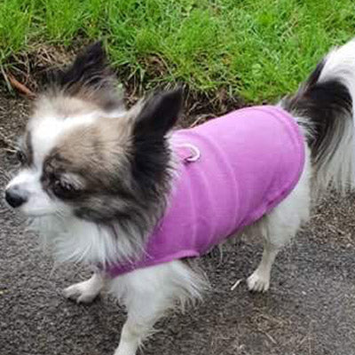 Chihuahua or Small Dog Fleece Jumper with D Rings For Leash Lilac - My Chi and Me