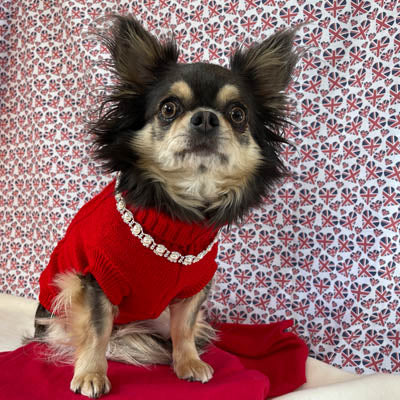 Small Dog Soft Cable Jumper Red 7 Sizes