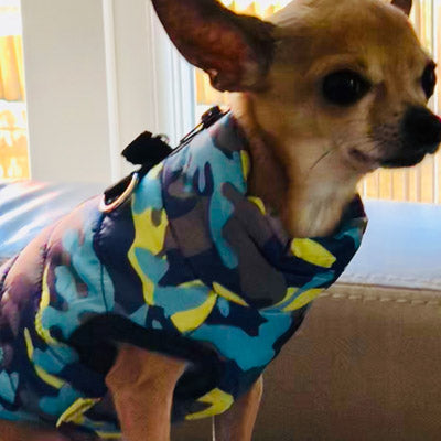 Premium Marine Camouflage Water Resistant Padded Gilet Style Dog Coat Chihuahua Clothes and Accessories at My Chi and Me