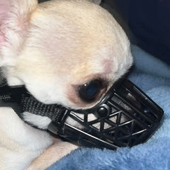 Chihuahua or Small Dog Soft Cage Muzzle Beige or Black