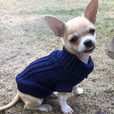 Small Dog Soft Navy Blue Cable Knit Chihuahua Puppy Jumper 5 SIZES Chihuahua Clothes and Accessories at My Chi and Me