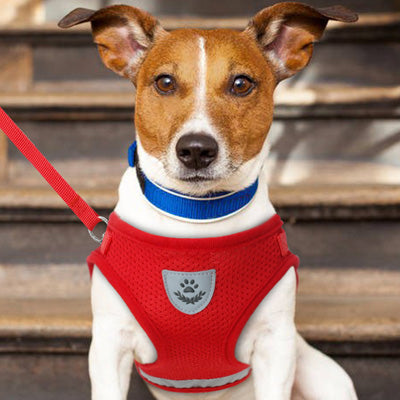 Small Dog Vest Harness and Lead Set Red Mesh Reflective - My Chi and Me