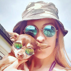 Small Dog Sunglasses Chihuahuas Shades 8 COLOURS - My Chi and Me