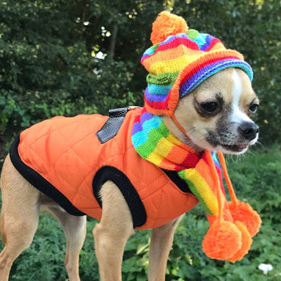 Water Resistant Padded Quilted Orange Dog Gilet Chihuahua Clothes and Accessories at My Chi and Me
