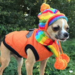 Chihuahua Hat Scarf and Leg Warmer Set Rainbow Stripes Chihuahua Clothes and Accessories at My Chi and Me