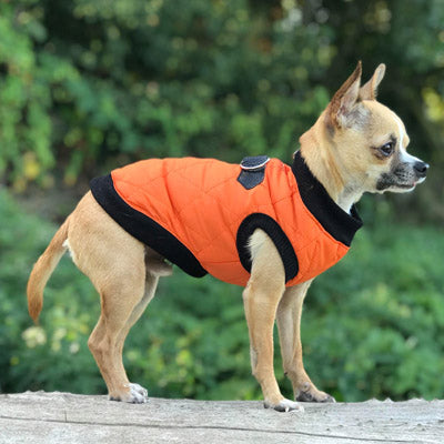 Water Resistant Padded Quilted Orange Dog Gilet Chihuahua Clothes and Accessories at My Chi and Me