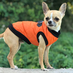 Water Resistant Padded Quilted Orange Dog Gilet Chihuahua Clothes and Accessories at My Chi and Me