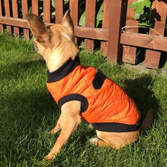 Water Resistant Padded Quilted Orange Dog Gilet Chihuahua Clothes and Accessories at My Chi and Me