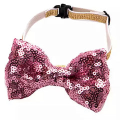 Party Hat & Bow Tie Set for Small Dogs 4 COLOURS Chihuahua Clothes and Accessories at My Chi and Me