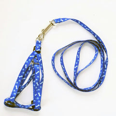 Chihuahua Puppy Harness Lead Set Paws & Bones Blue Light Webbing