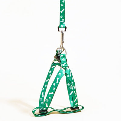 Chihuahua PuppyHarness Lead Set Paws & Bones Green Light Webbing