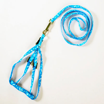 Chihuahua Puppy Harness Lead Set Paws & Bones Sky Blue Light Webbing