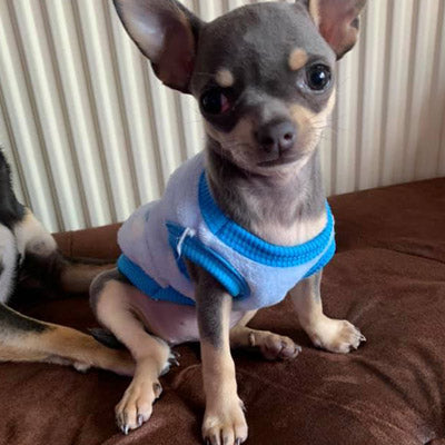 Chihuahua Puppy Fluffy Blue and White Spot Vest with Penguin Motif 5 Sizes - My Chi and Me