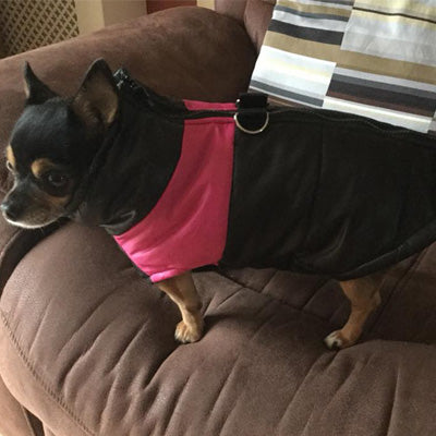 Gilet Style Small Dog Coat Black And Pink - My Chi and Me