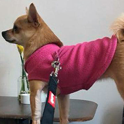 Chihuahua or Small Dog Fleece Jumper with D Rings For Leash Pink - My Chi and Me