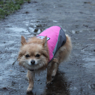 Small Dog Waterproof Reflective Adjustable Velcro Coat Pink and Grey - My Chi and Me