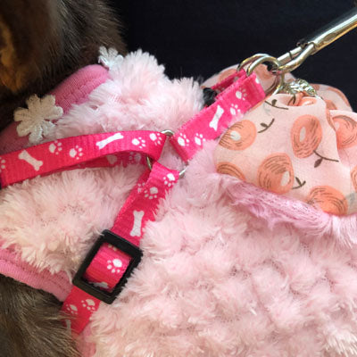 Chihuahua Puppy or Small Chihuahua Harness and Lead Set Paws & Bones Black Light Weight Webbing Chihuahua Clothes and Accessories at My Chi and Me