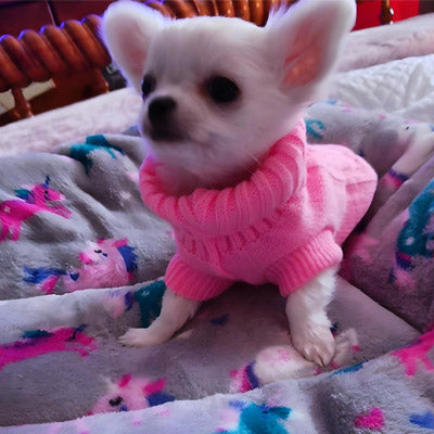 Small Dog Soft Cable Jumper Pink 7 Sizes