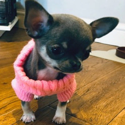 Small Dog Soft Pink Cable Knit Chihuahua Puppy Jumper 5 SIZES Chihuahua Clothes and Accessories at My Chi and Me