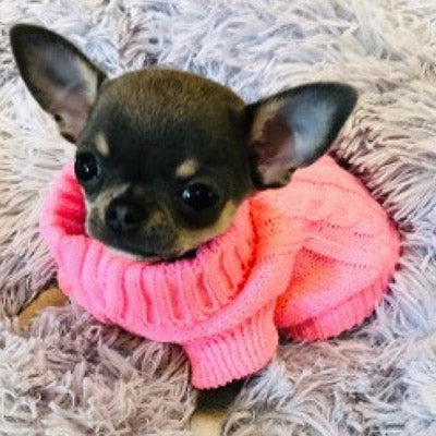 Small Dog Soft Pink Cable Knit Chihuahua Puppy Jumper 5 SIZES Chihuahua Clothes and Accessories at My Chi and Me