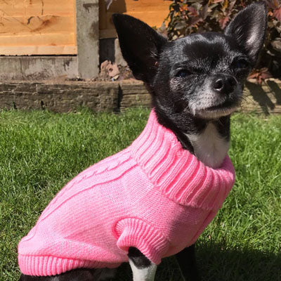 Small Dog Soft Pink Cable Knit Chihuahua Puppy Jumper 5 SIZES Chihuahua Clothes and Accessories at My Chi and Me