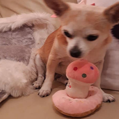 Pink Strawberry Donut Chihuahua or Small Dog Plush Star Toy with Squeaker Chihuahua Clothes and Accessories at My Chi and Me