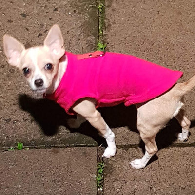 Chihuahua or Small Dog Fleece Jumper with D Rings For Leash Pink - My Chi and Me